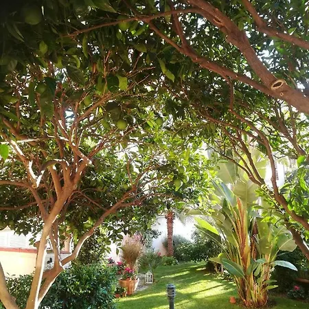 Candida's House Apartamento