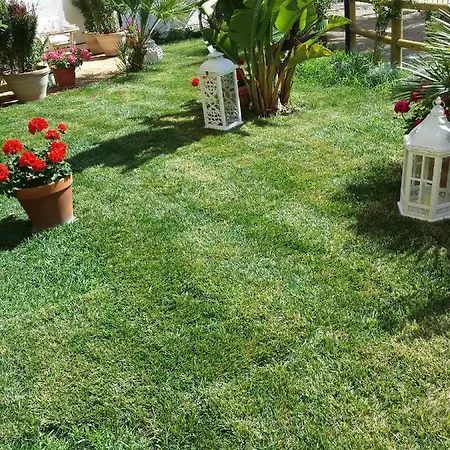 Appartement Candida's House *