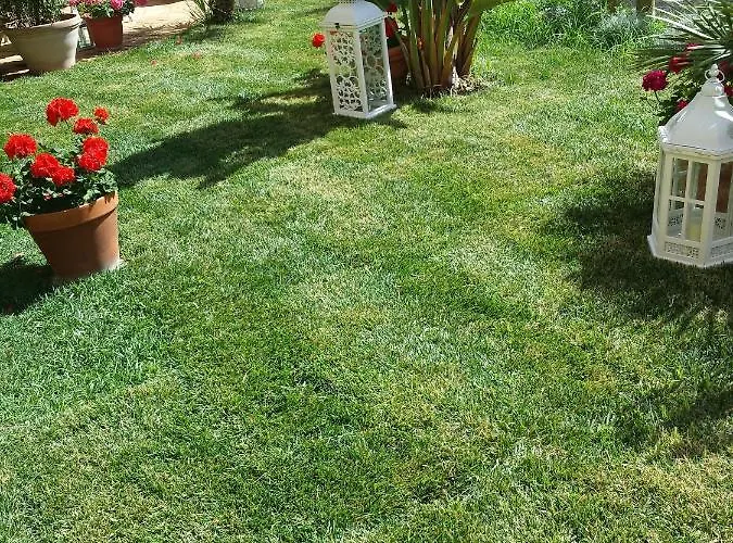 Daire Candida's House *