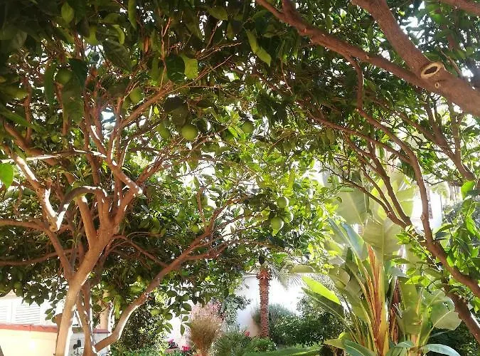 Candida's House Daire